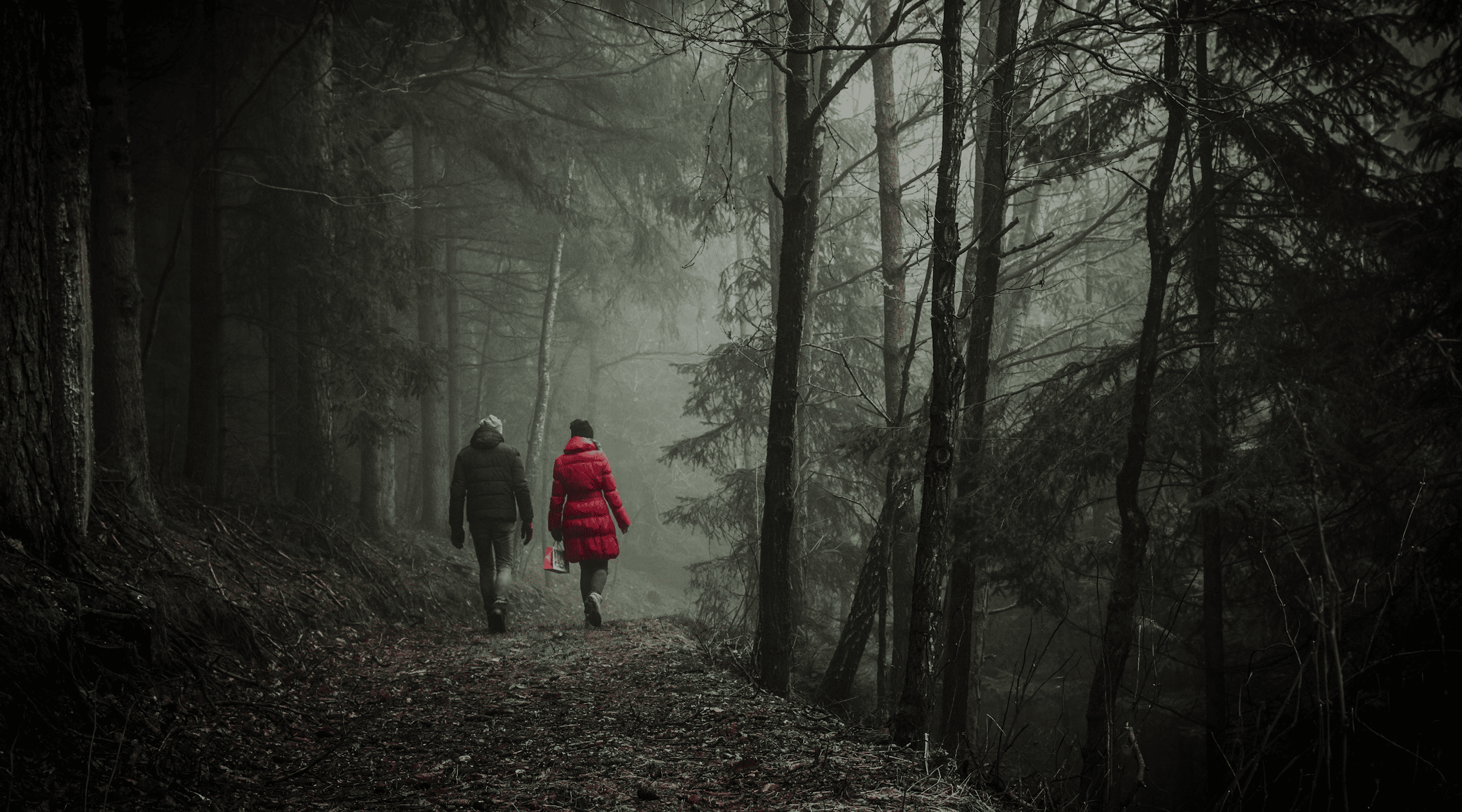 Tarninowe Wzgorze panorama las beskid niski