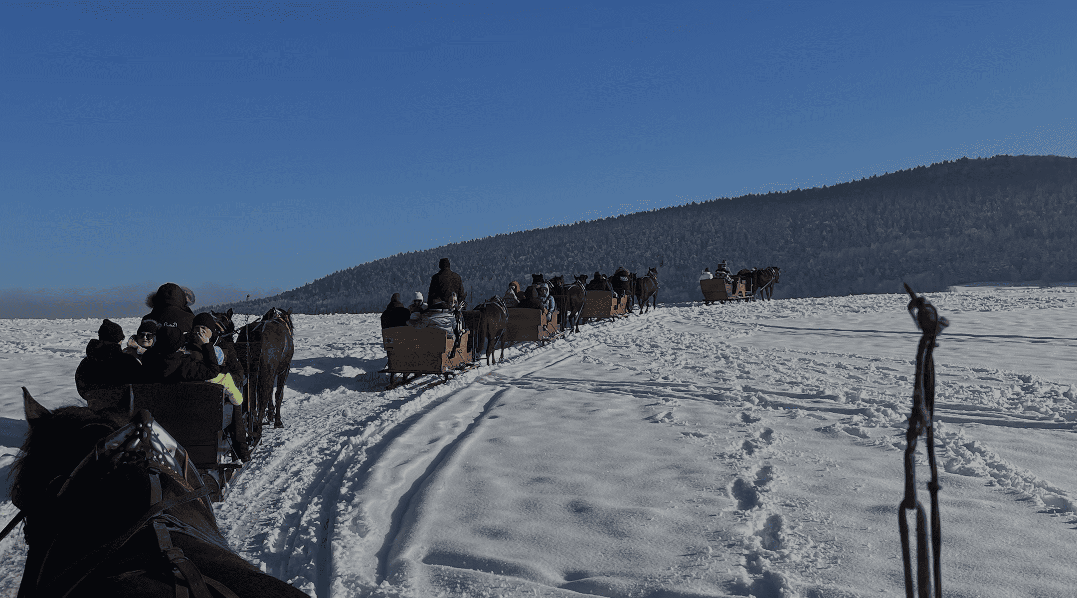 Kulig zimowy z saniami – atrakcja w Beskidzie Niskim