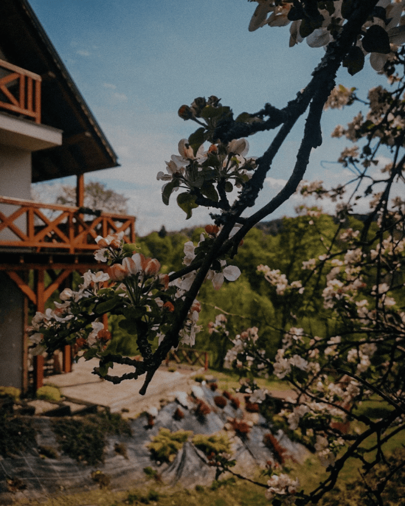 Wielkanoc Tarninowe 6