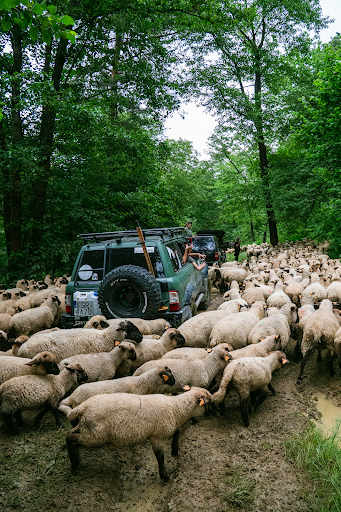 Photo from customer review